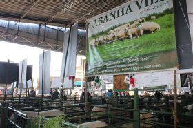 Cabanha Vier participa novamente da Expointer