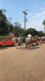 Celebra��es na regi�o mant�m tradi��o do Dia do Colono e do Motorista