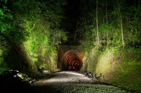 Comunidade salvadorense prestigia abertura do 18� Natal F� e Luz no T�nel de Linha Bonita