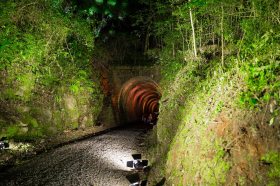 Comunidade salvadorense prestigia abertura do 18� Natal F� e Luz no T�nel de Linha Bonita