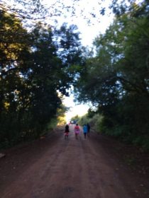 Edi��es anteriores