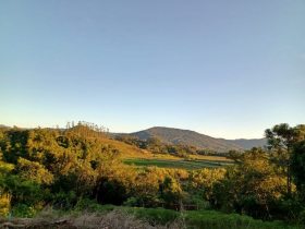 Edi��es anteriores