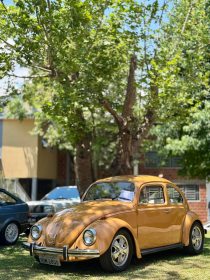 Encontro de Carros Antigos re�ne raridades e grande p�blico em Salvador do Sul