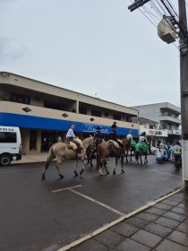 Extino da Chama Crioula encerra a Semana Farroupilha em Salvador do Sul