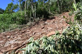 Fam�lia perde casa e vive drama