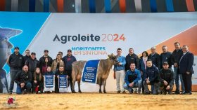 Jersey � Suprema das Ra�as  do Agroleite 2024