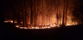 Pol�cia civil e Brigada Militar prendem suspeito de inc�ndios criminosos no interior de Salvador do Sul