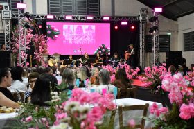 Salvador do Sul dedica noite especial �s mulheres da comunidade