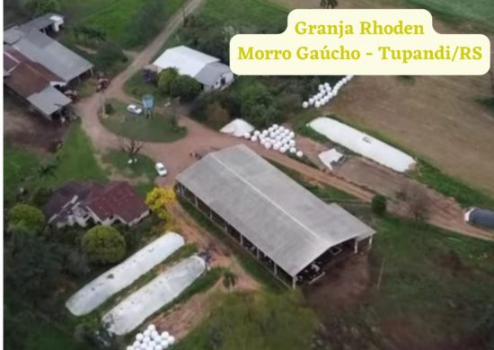 Tupandi � finalista no pr�mio Refer�ncia Leiteira RS