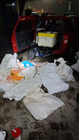 PRF prende homens com 350kg de pescados ilegais