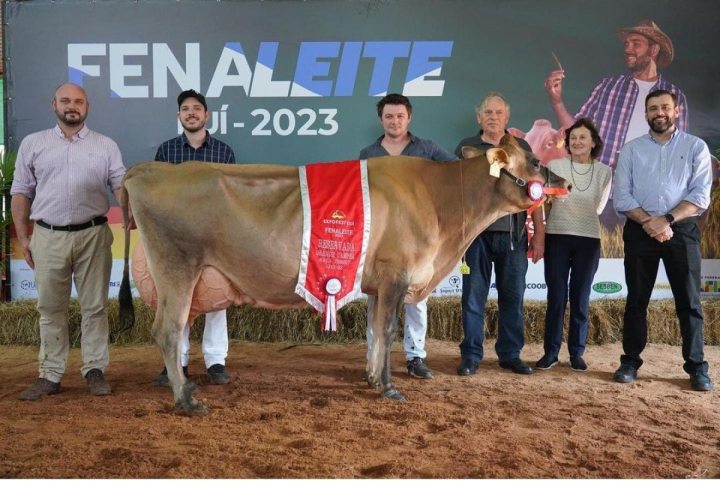 Agropecuária Fortaleza é campeã no concurso morfológico na Expofest, de Ijuí