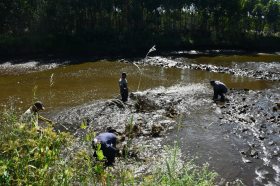 Comercializa��o de pescado para feriad�o da P�scoa tem expectativa de venda de 50 toneladas em Salvador do Sul
