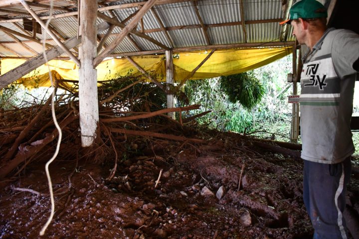 Fam�lia perde casa e vive drama 