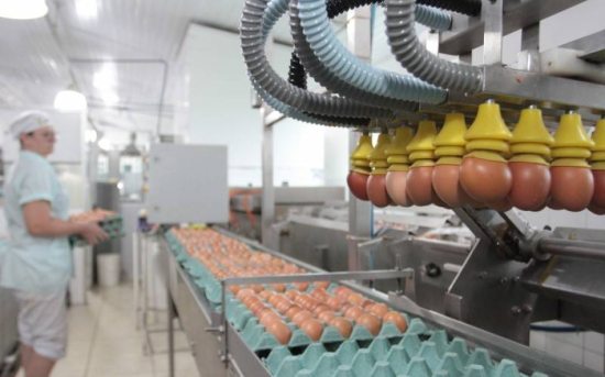 Pr�mio para Naturovos