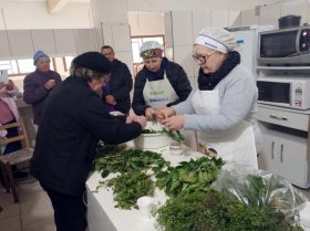 Plantas medicinais: elabora��o de xaropes e preven��o das doen�as de inverno s�o tema de oficinas em S�o Pedro da Serra