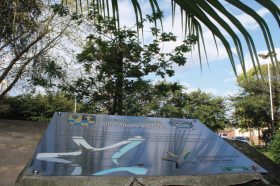 Munic�pios ga�chos preparam eventos de homenagem aos 200 anos da imigra��o alem� no Estado