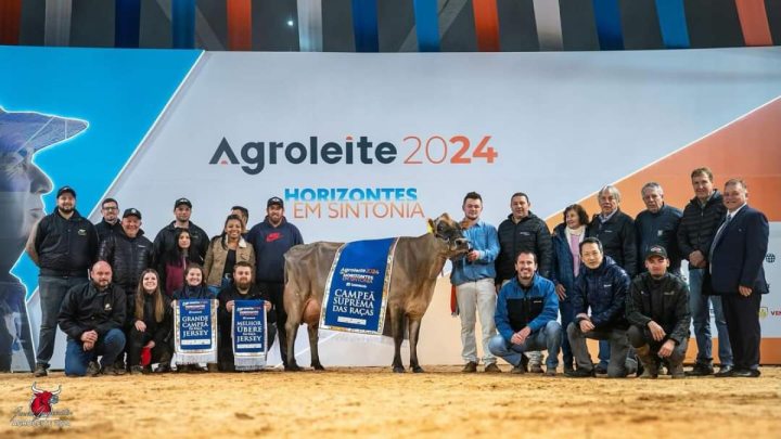 Jersey é Suprema das Raças do Agroleite 2024