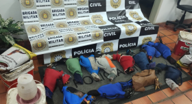 Doze galos de rinha s�o encontrados dentro de porta-malas