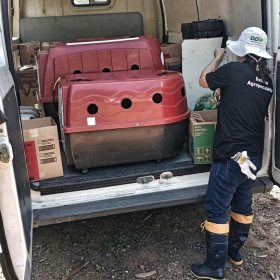 For�as Policiais de Brochier e Inspetoria Veterin�ria realizam recolhimento de aves em continuidade � Opera��o UFCarij�