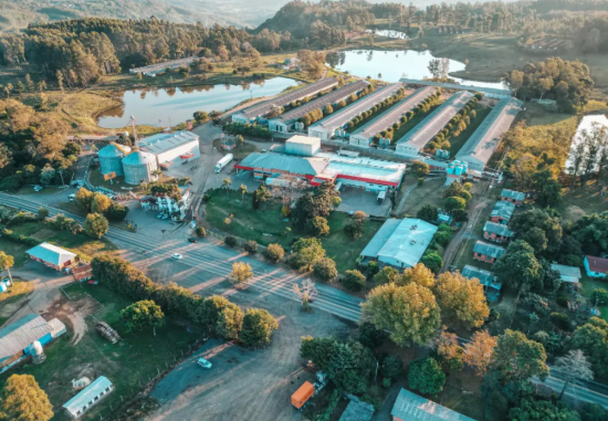 Naturovos celebra o Dia Mundial do Ovo com performance das exporta��es e novidades no mercado brasileiro