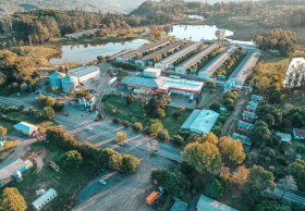 Naturovos celebra o Dia Mundial do Ovo com performance das exporta��es e novidades no mercado brasileiro