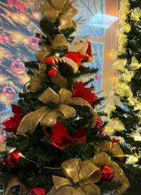 Papai Noel abre a temporada de Natal do com�rcio salvadorense