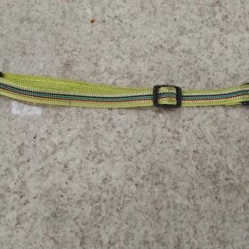 Gato  atropelado e morre aps ser socorrido; veterinrio busca identificar tutores