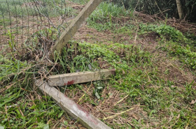 Homem morre em acidente de motocicleta na BR-470 em So Jos do Sul