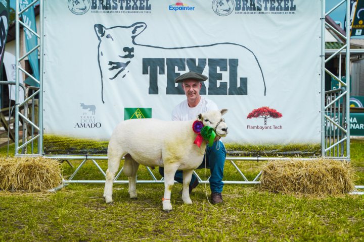 Cabanha Vier conquista premiaes na Expointer 2025