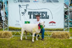 Cabanha Vier conquista premia��es na Expointer 2025