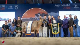 Cabanha de Carlos Jacob Wallauer faz hist�ria na Agroleite com tricampeonato da ra�a Jersey