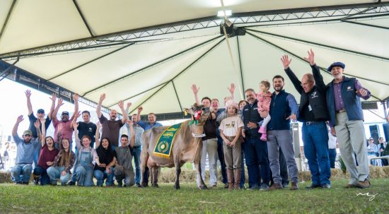 Carlos Jacob Wallauer conquista pelo segundo ano consecutivo o t�tulo de Grande Campe� da ra�a Holandesa na Expointer
