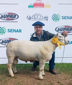 Salvador do Sul volta a se destacar na 49� Expointer