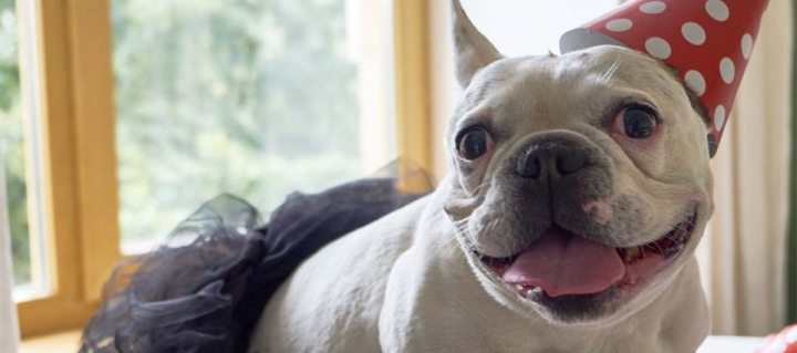 4. Circula��o de convidados em casa