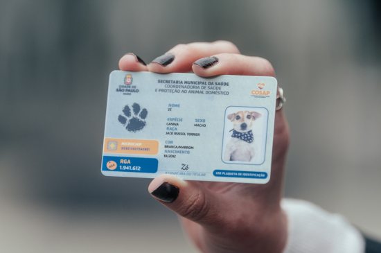 7.�Identifica��o