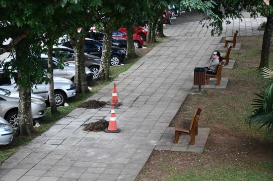 Restaura��o da cal�ada